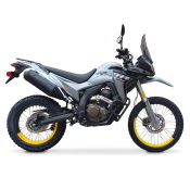 DS250 ABS (EFI)