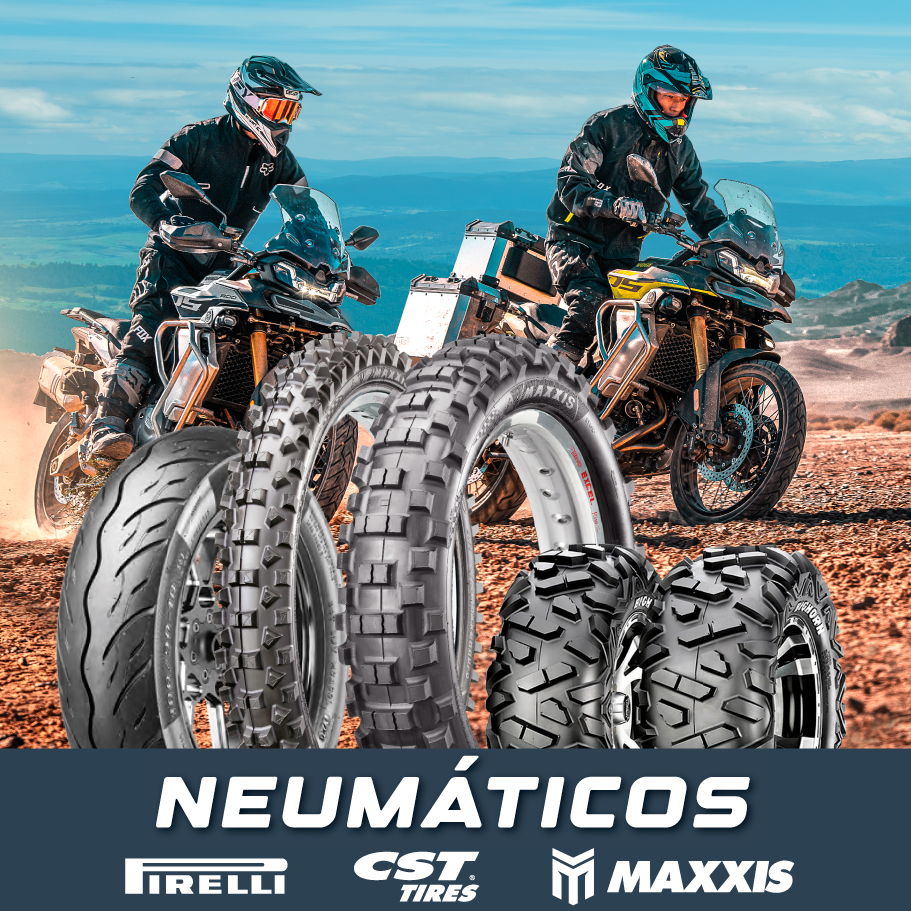 NEUMATICOS_MAYO_2025